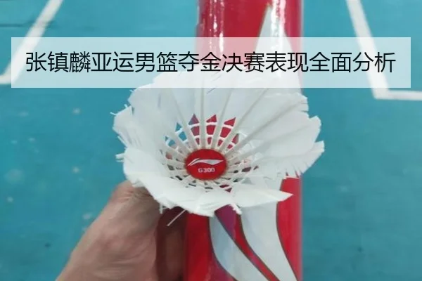 张镇麟亚运男篮夺金决赛表现全面分析